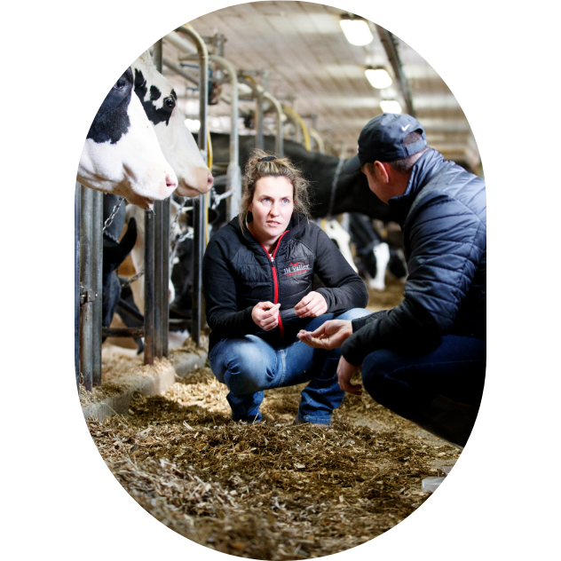 Une productrice laitière analyse l'alimentation de ses vaches avec son expert-conseil Sollio Agriculture.