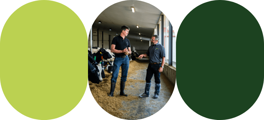 A Sollio Agriculture agri-advisor and a dairy farmer in a cowshed.