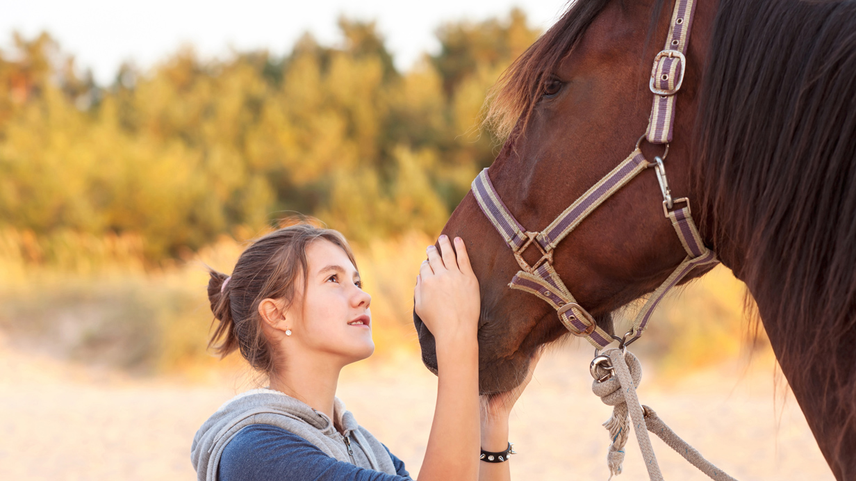 Une jeune propriétaire regarde attentivement son cheval. 