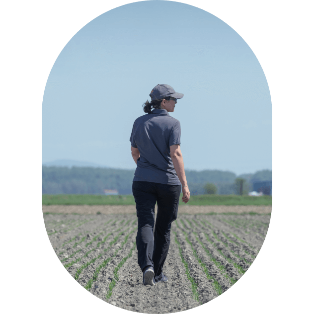 Valérie Chabot, sélectionneuse en amélioration végétale chez Sollio Agriculture, marche sur une parcelle expérimentale de la ferme de recherche.