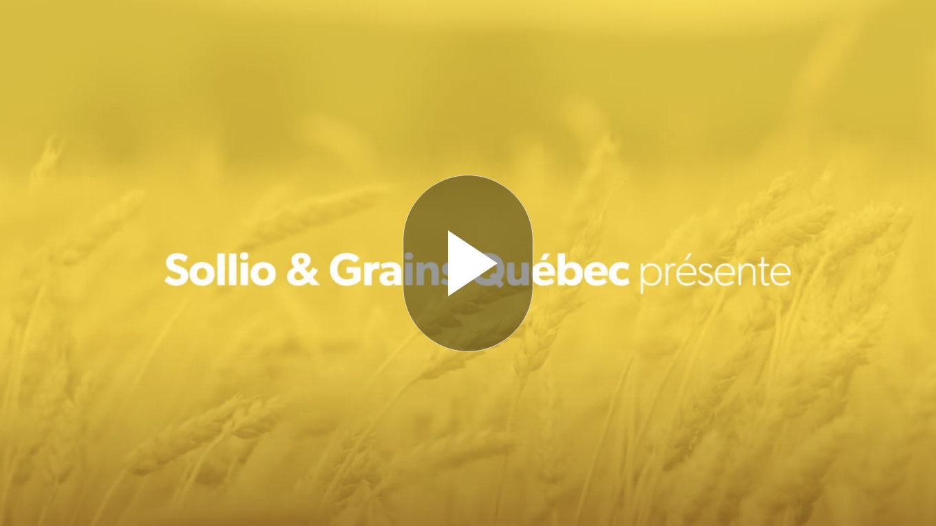 Vignette de la vidéo de présentation de Sollio & Grains Québec