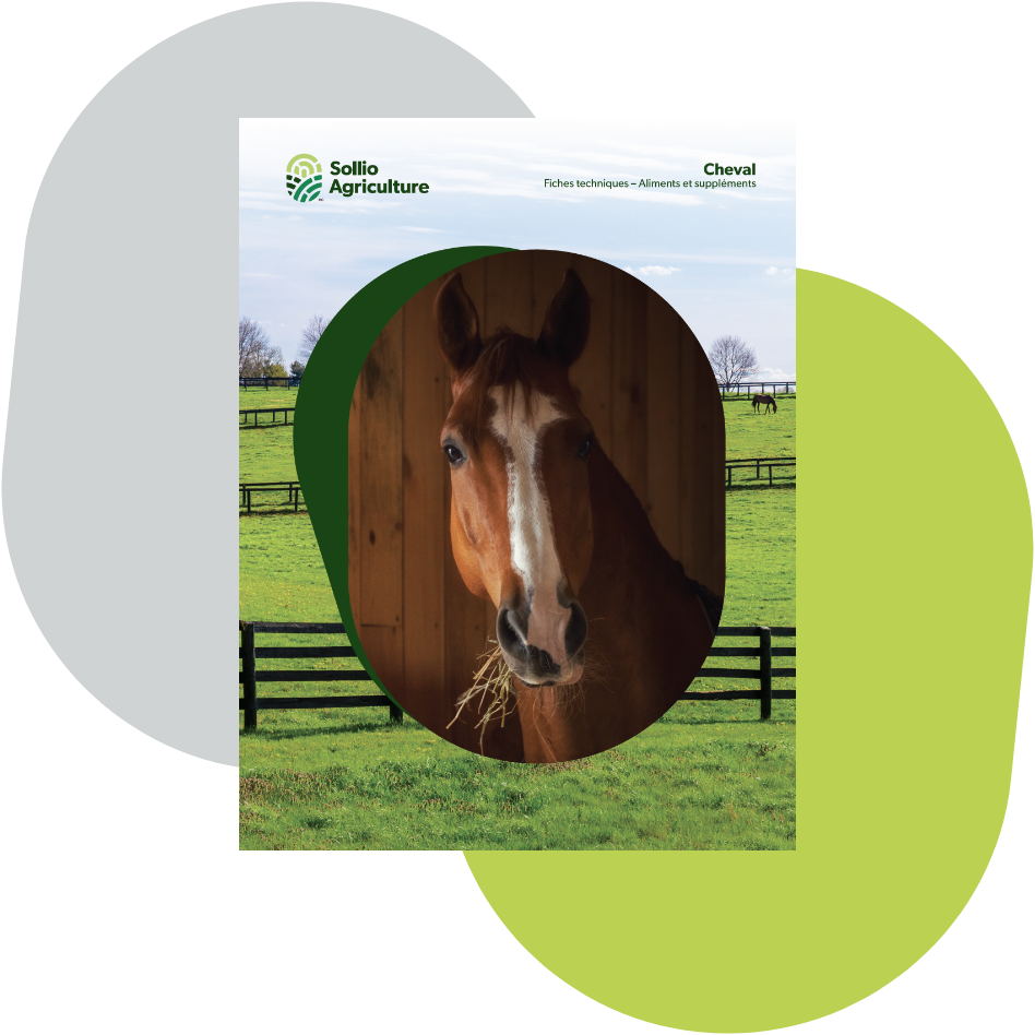 Couverture du guide des fiches techniques des d'aliments et suppléments pour chevaux de Sollio Agriculture en français.