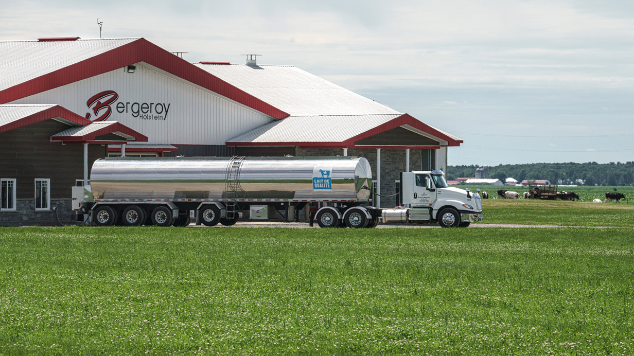 Un camions-citernes à la ferme Bergeroy transporte du lait.